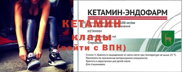 стафф Новодвинск