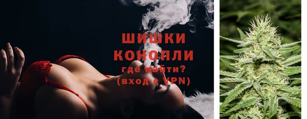стафф Новодвинск