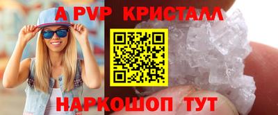 тгк Кингисепп