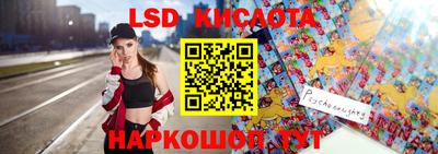 тгк Кингисепп