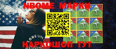 шишки Кимры