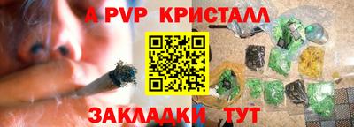 тгк Кингисепп