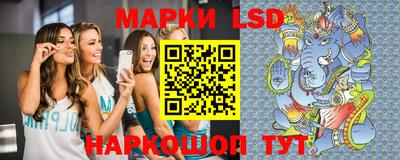 тгк Кингисепп