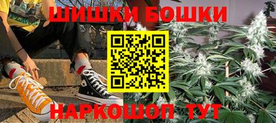 тгк Кингисепп