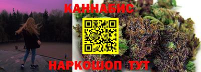 шишки Кимры