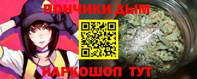 шишки Кимры