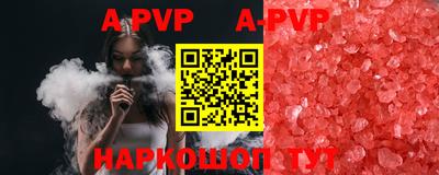 тгк Кингисепп