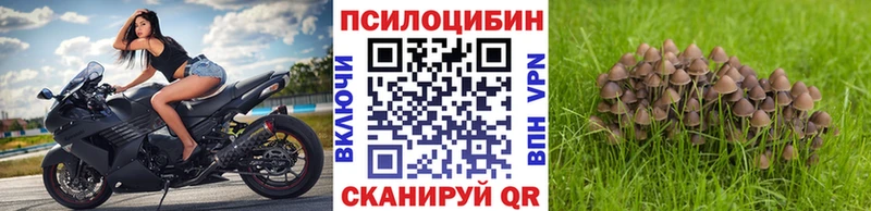Псилоцибиновые грибы GOLDEN TEACHER  Муравленко 
