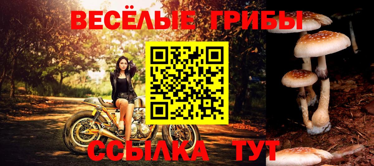 Псилоцибиновые грибы GOLDEN TEACHER Муравленко