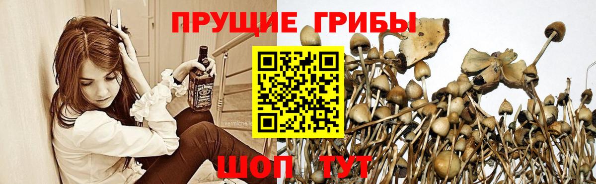цены   Вход с VPN  Муравленко  Галлюциногенные грибы ЛСД 