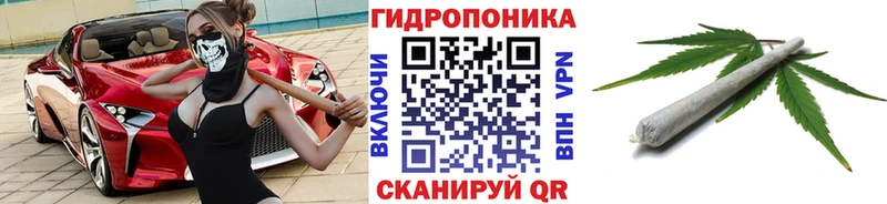 дарк нет состав  Муравленко  Бошки марихуана OG Kush 